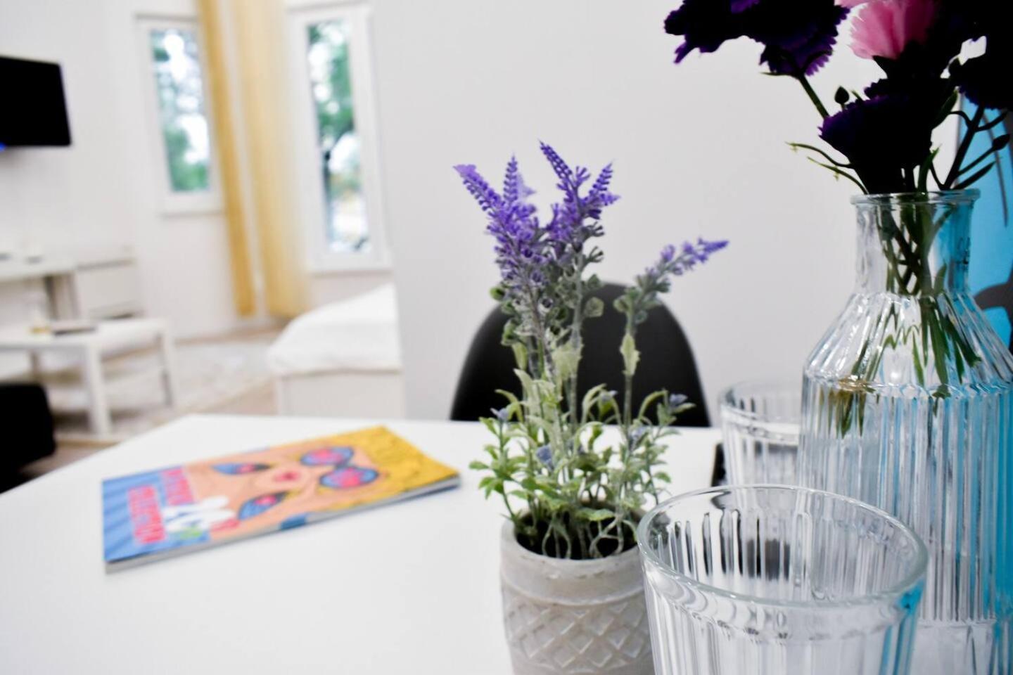 Duplex Condo Prime Location 2Bth 2 Studios ソフィア エクステリア 写真